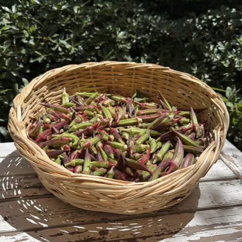 Kınalı Bamya Urla 500 g