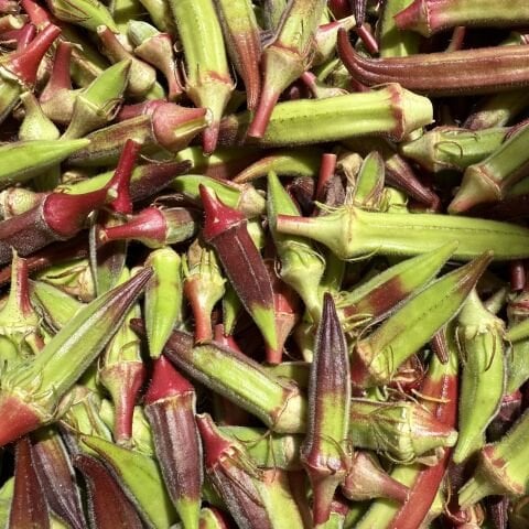 Kınalı Bamya Urla 500 g