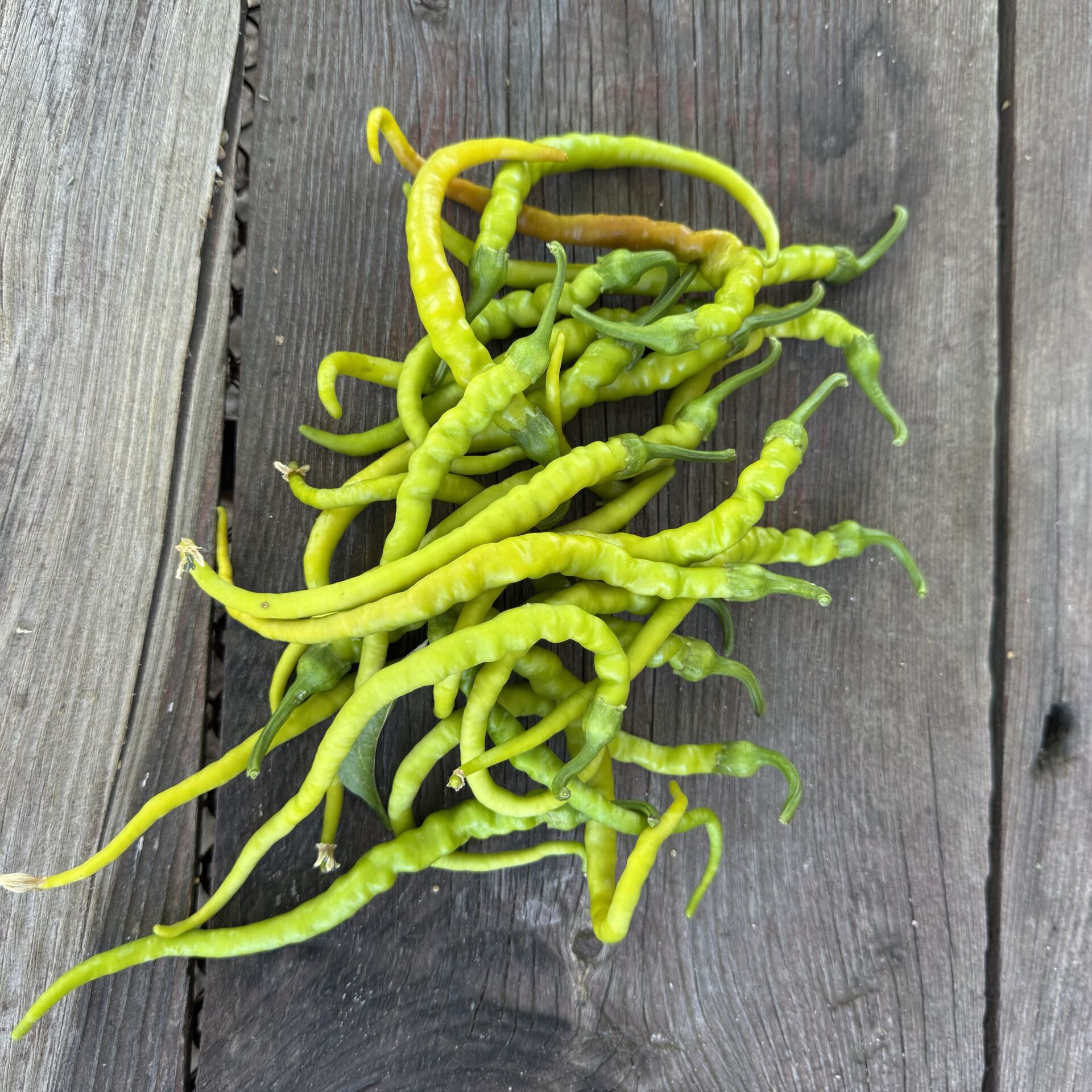 Kıl Sivri Biber Acı Atalık 250 g