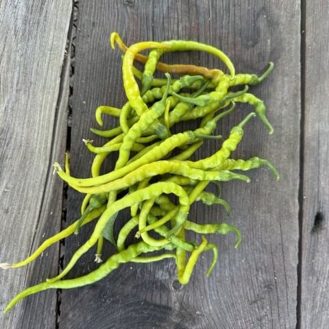 Kıl Sivri Biber Acı Atalık 250 g