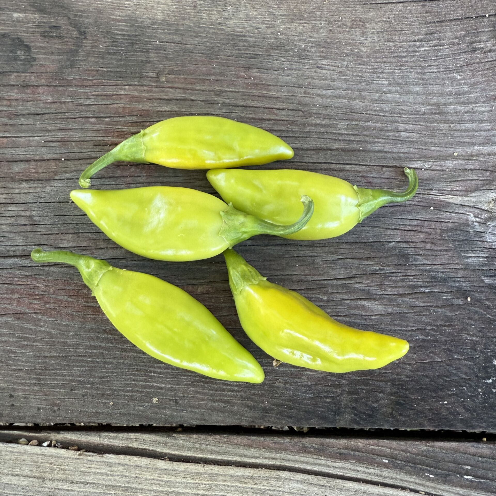 Balık Biber Hafif Acı Atalık 250 g