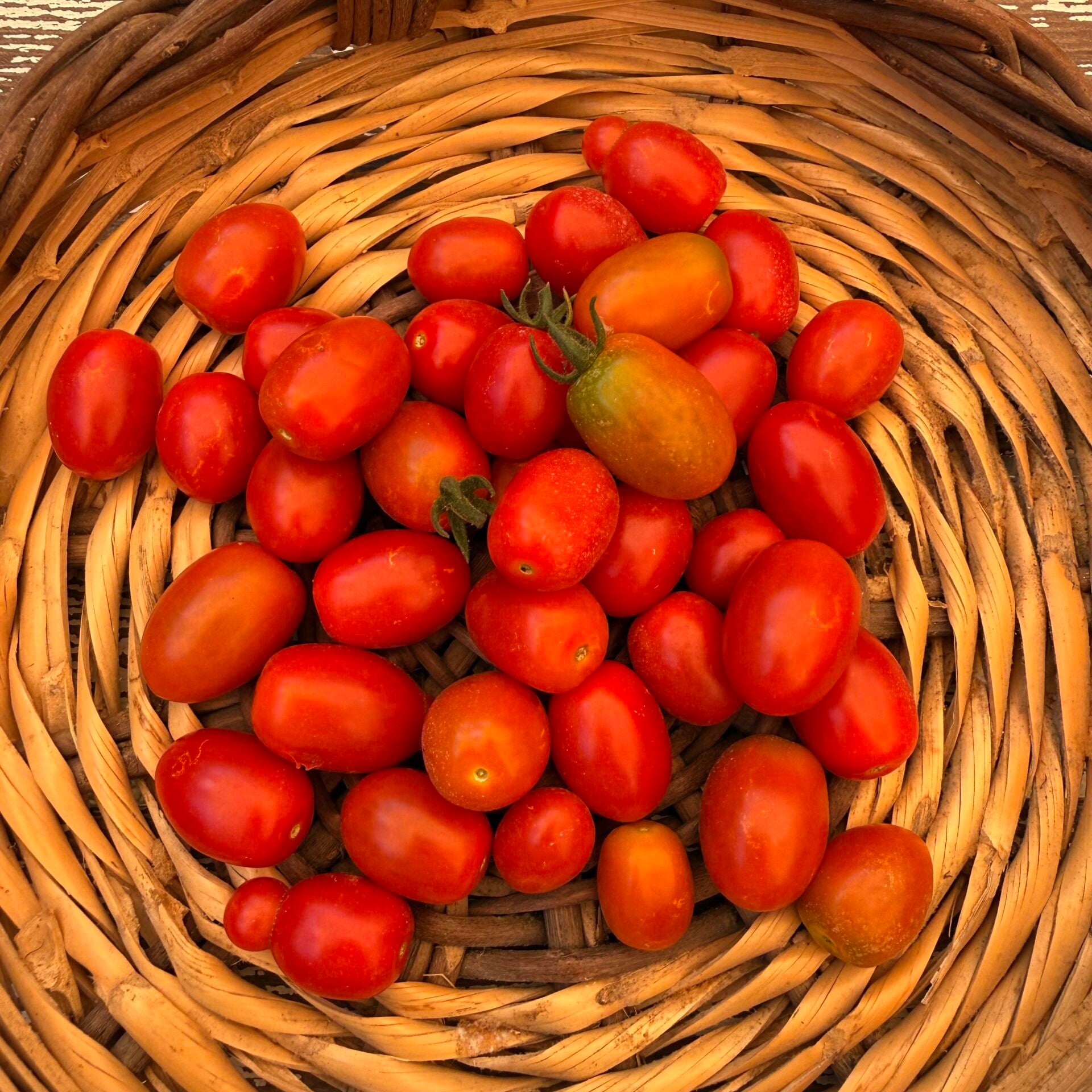 ÇeriAtalık  Domates 250 g