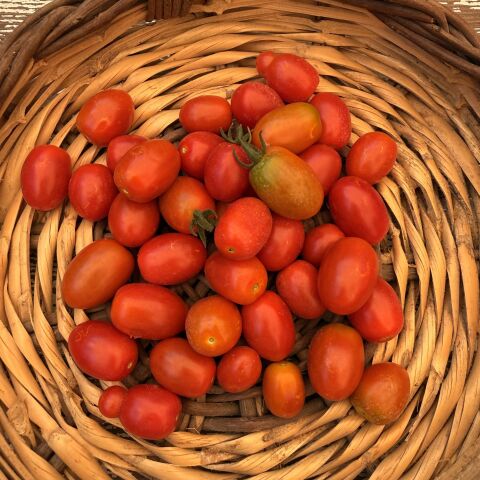ÇeriAtalık  Domates 250 g