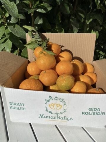 Seferihisar  Mandalina 3 kg
