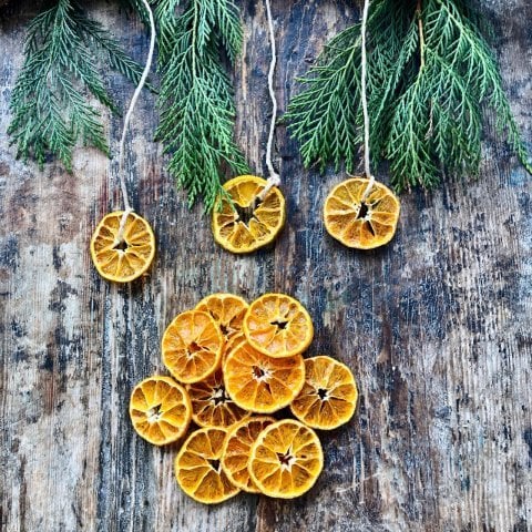 Dried Mandarin (With Peel) 40gr