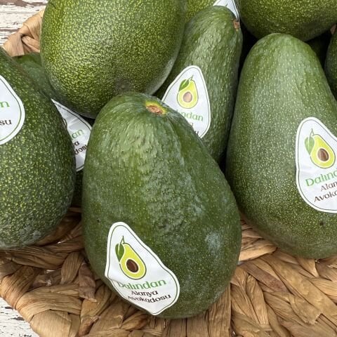 Avokado Fuarte Adet 300-400 g