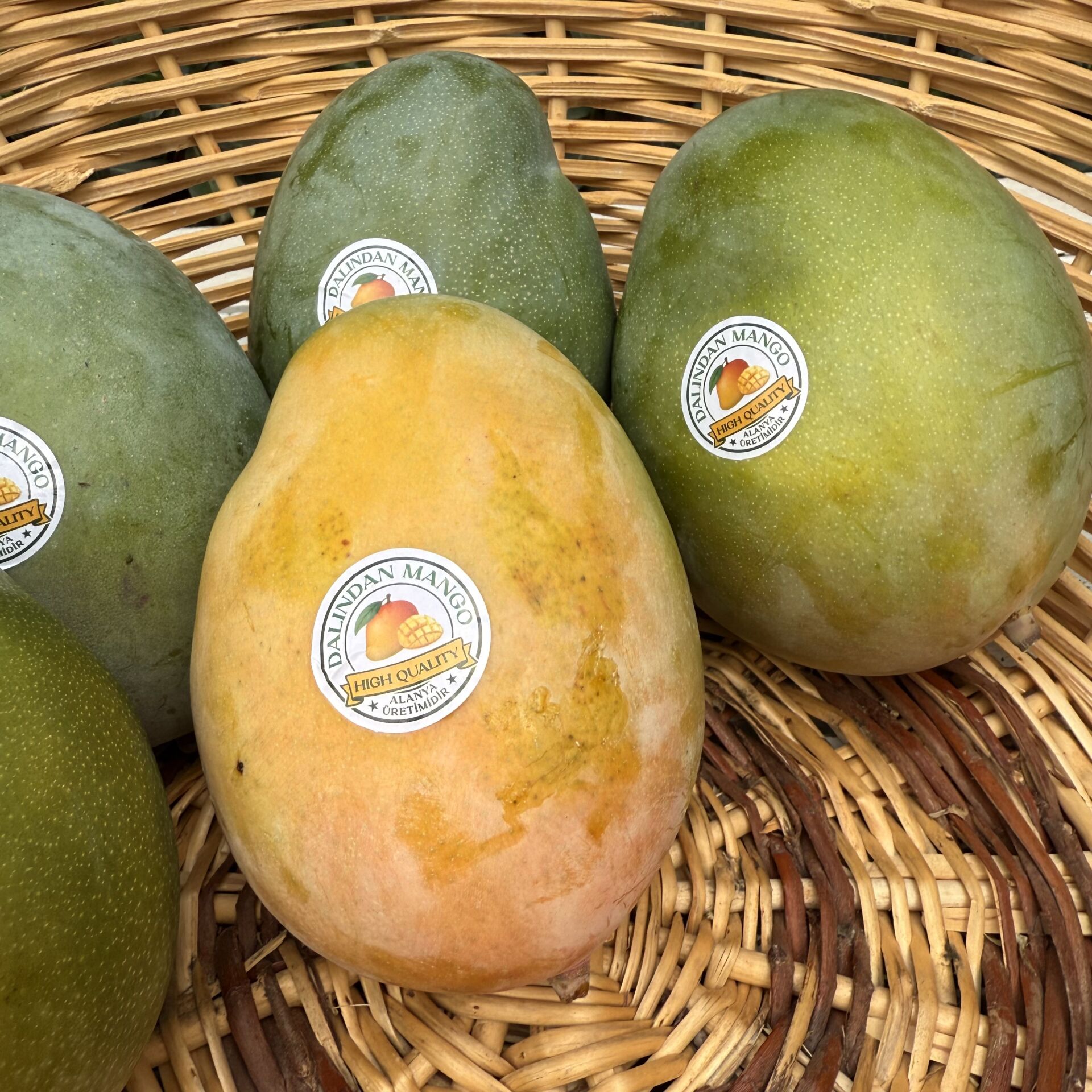 Mango Taze 600-800 g