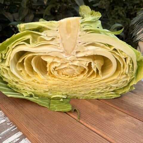 Beyaz Lahana Adet (2-3kg)