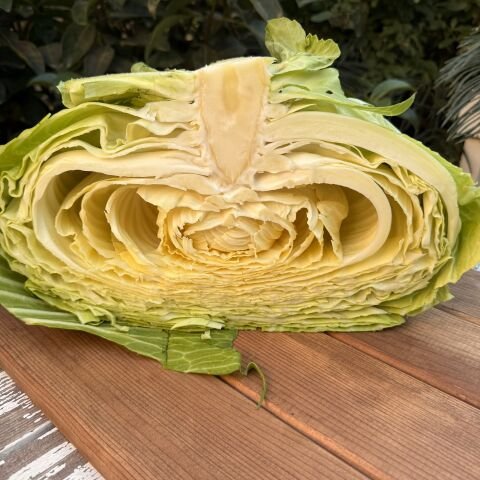 Beyaz Lahana Adet (2-3kg)