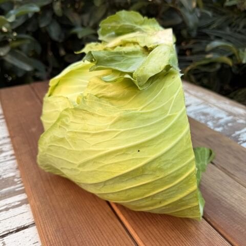 Beyaz Lahana Adet (2-3kg)