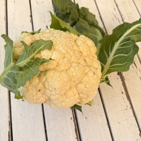 Karnabahar Atalık Tohumdan (1000-1200g)