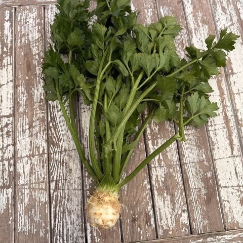 Kereviz Atalık Tohum, Kimyasal İlaçsız kg