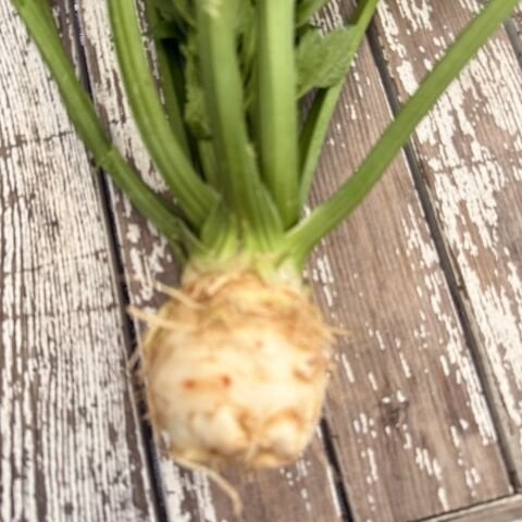 Kereviz Atalık Tohum, Kimyasal İlaçsız kg