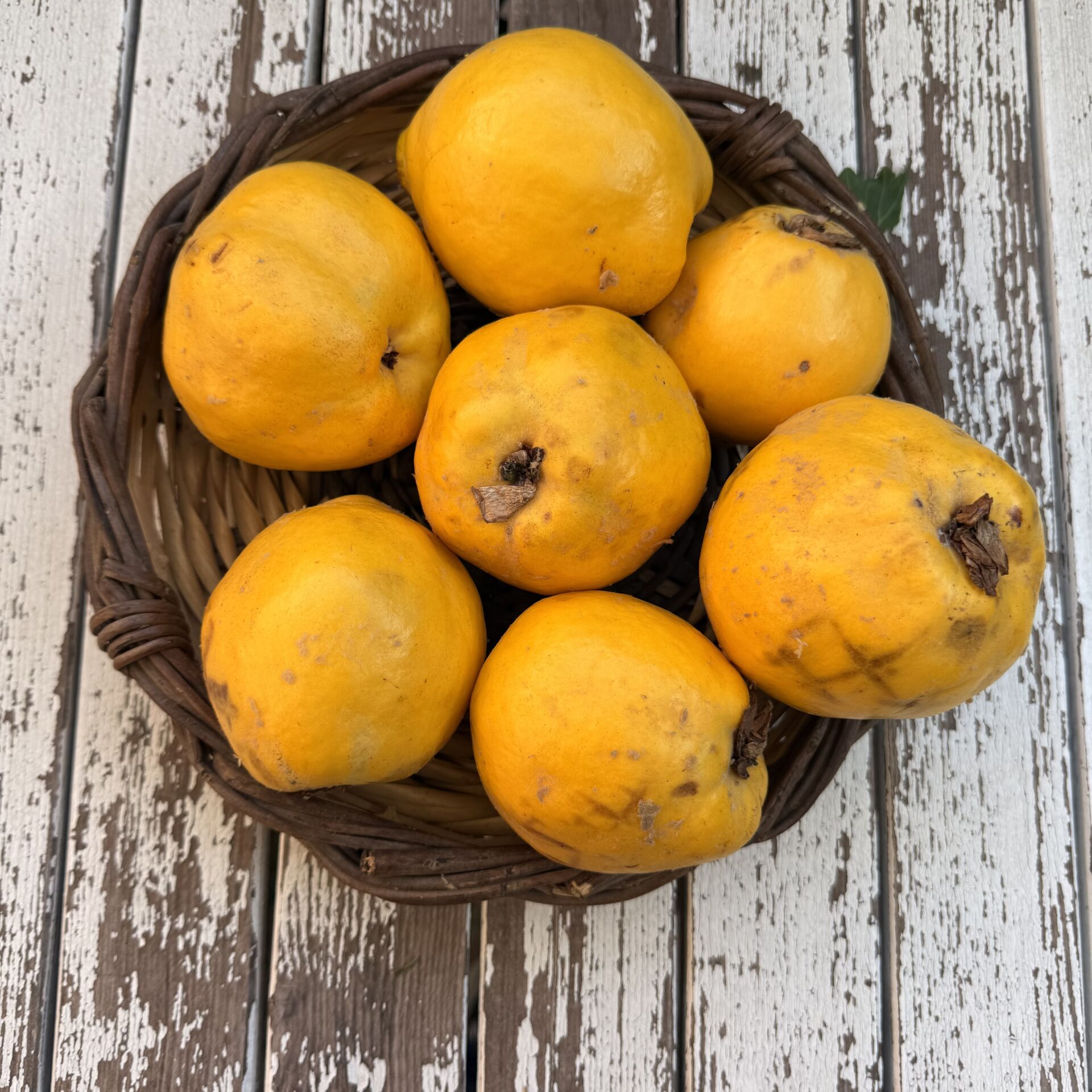 Ekmek Ayvası 1 kg