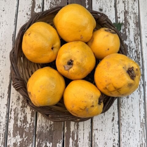 Ekmek Ayvası 1 kg