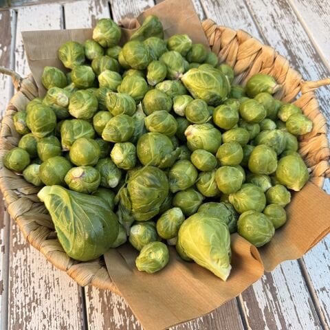 Brüksel Lahanası 500 g