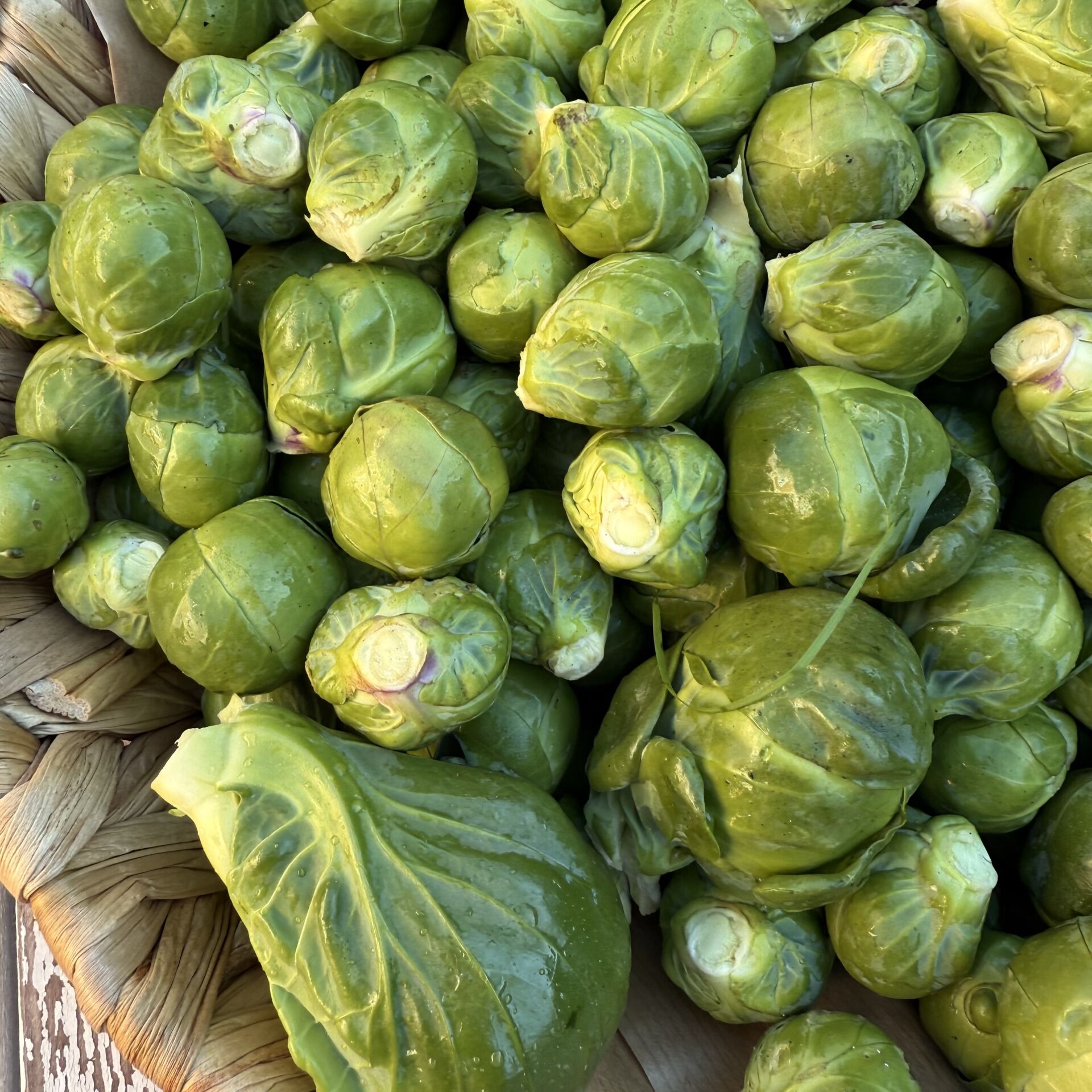 Brüksel Lahanası 500 g