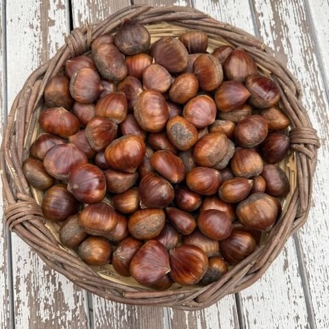 Kestane Bursa Doğal 500g