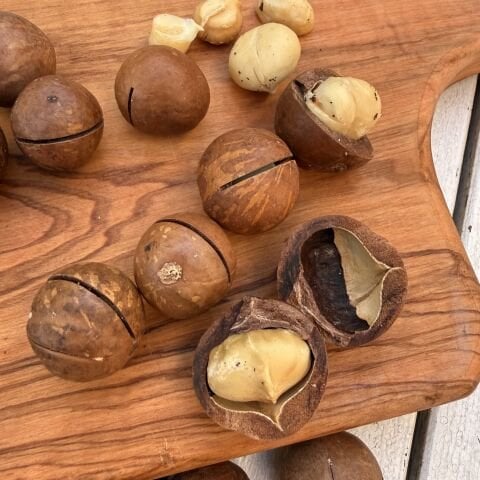 Makedemya Fındığı 180 g