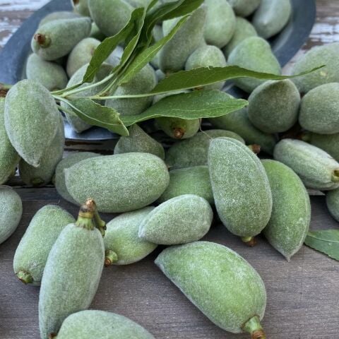Çağla Taze 500 g