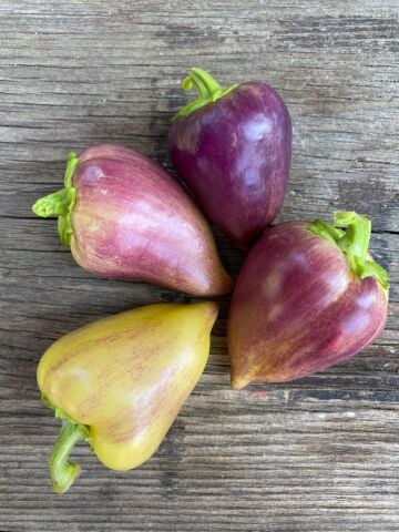 Violet Tatlı Biber 500 g