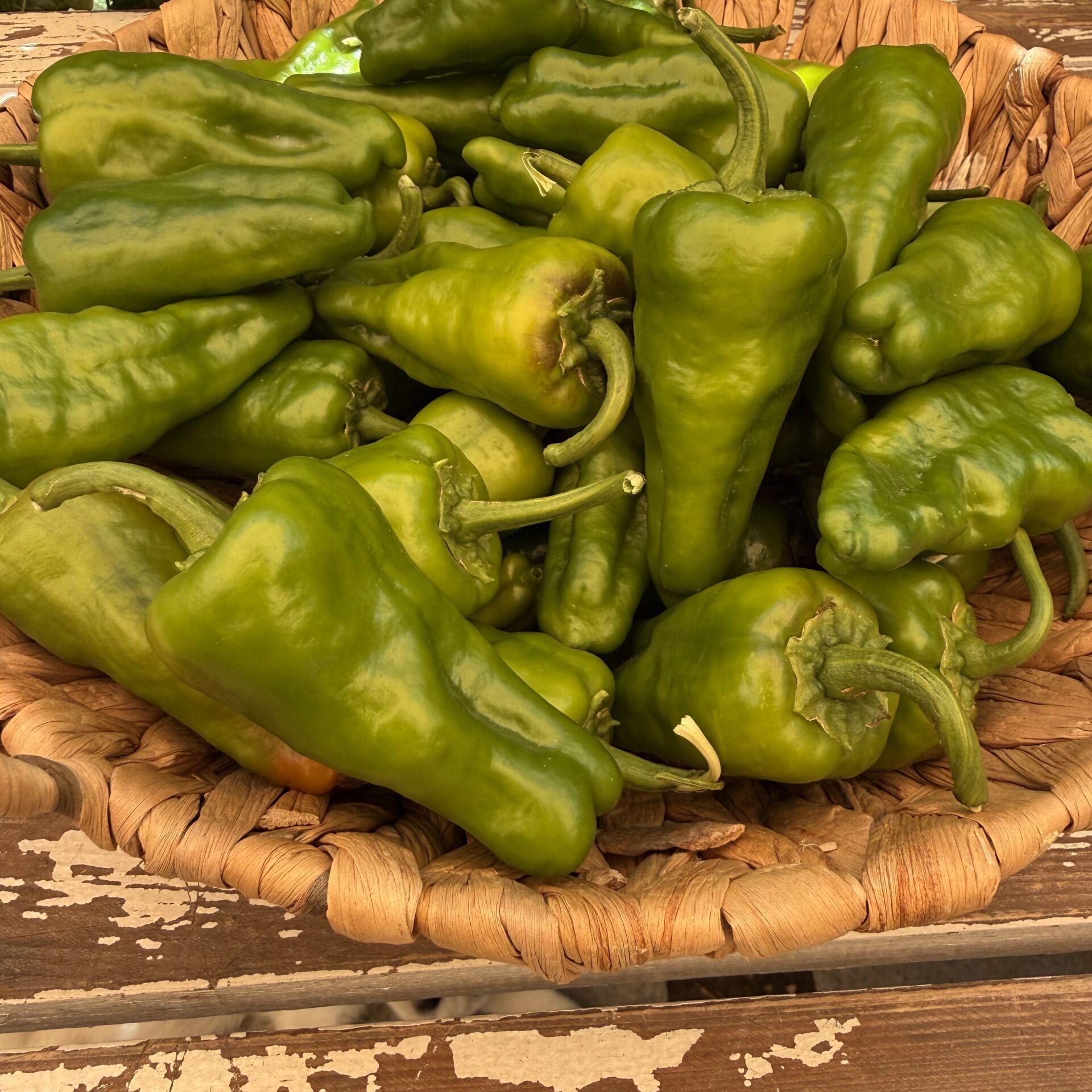 Padron Acı Biber 250 g