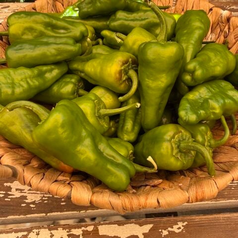 Padron Acı Biber 250 g
