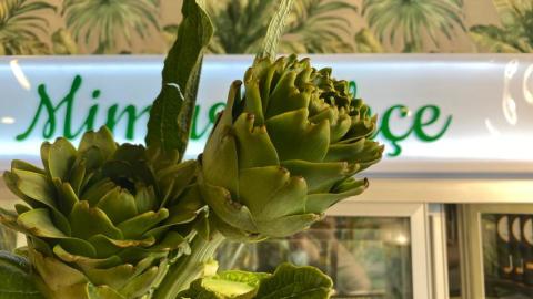 Urla Gum Artichoke (6 pieces)