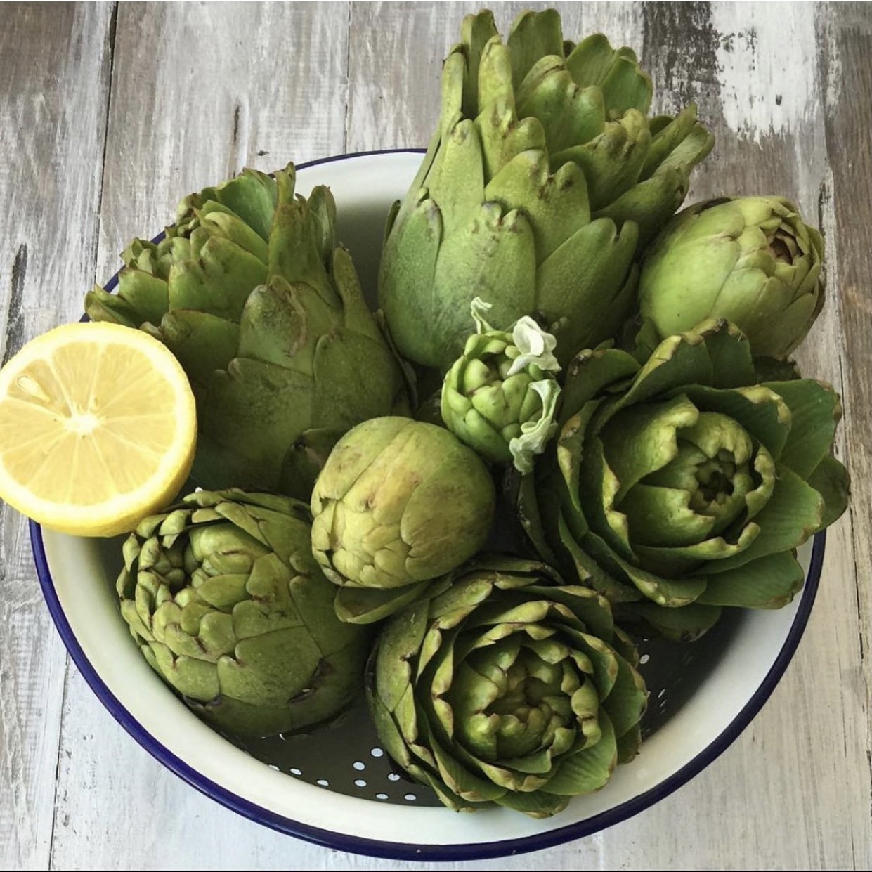 Urla Gum Artichoke (6 pieces)