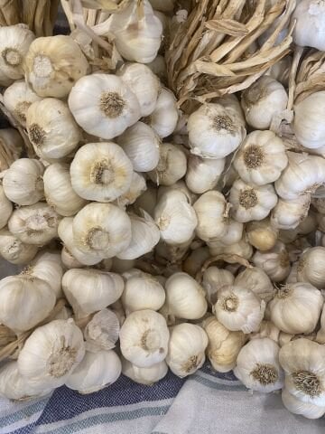 Sarımsak Ata Tohumu Taşköprü 500 gr