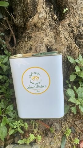 Zeytinyağı  Soğuk Sıkım  2000cc