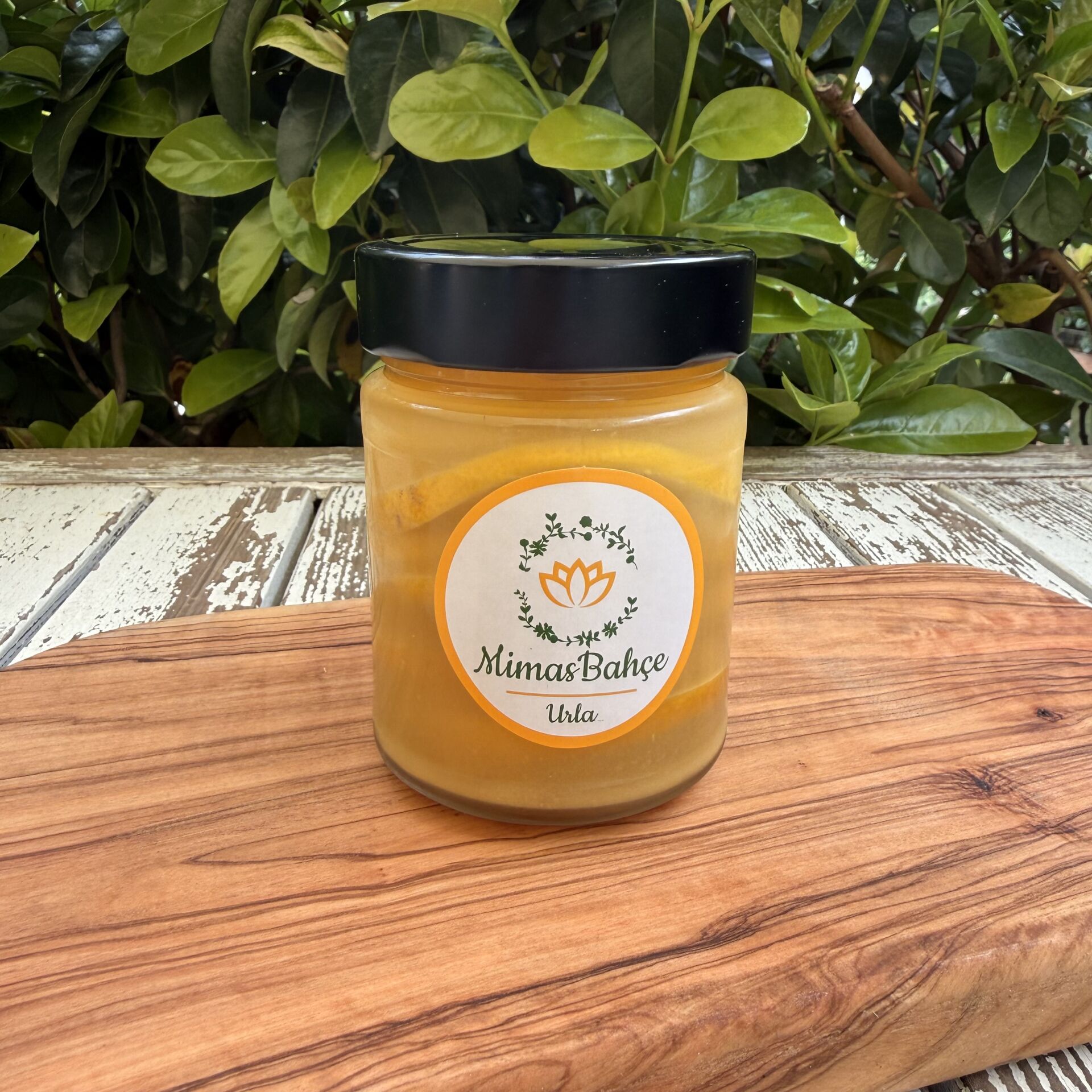 Zencefil Kürü 300 cc