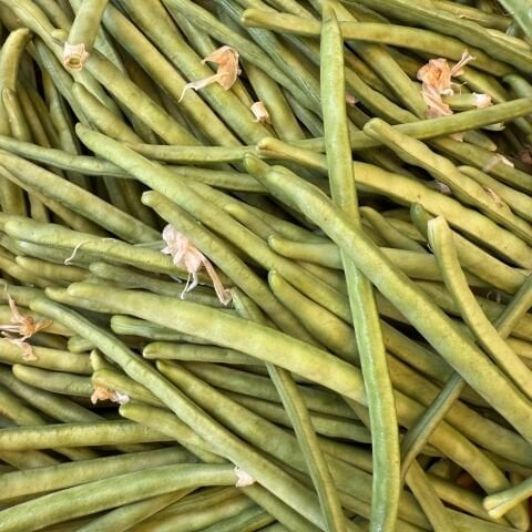 Börülce İpek Urla 500 g