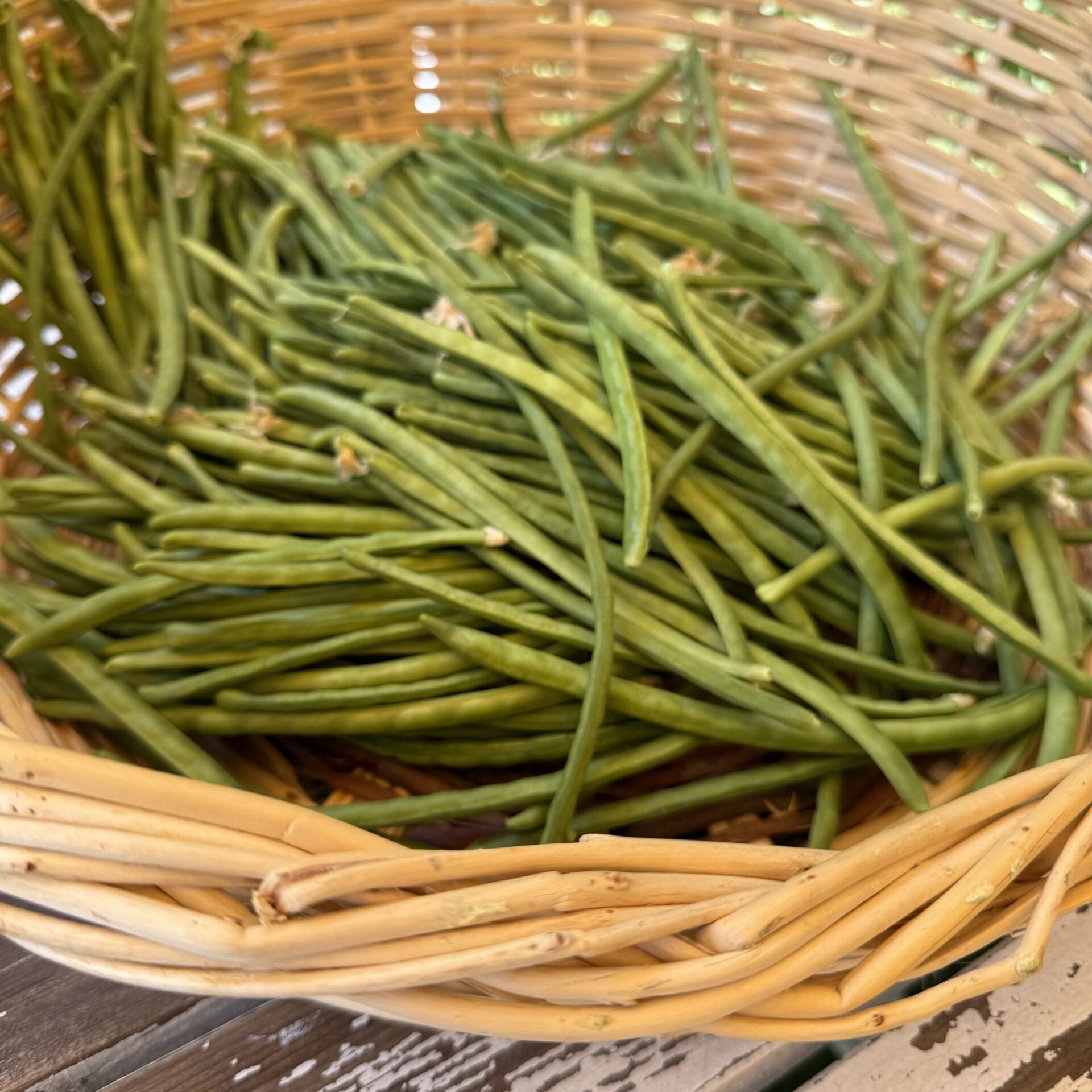 Börülce İpek Urla 500 g