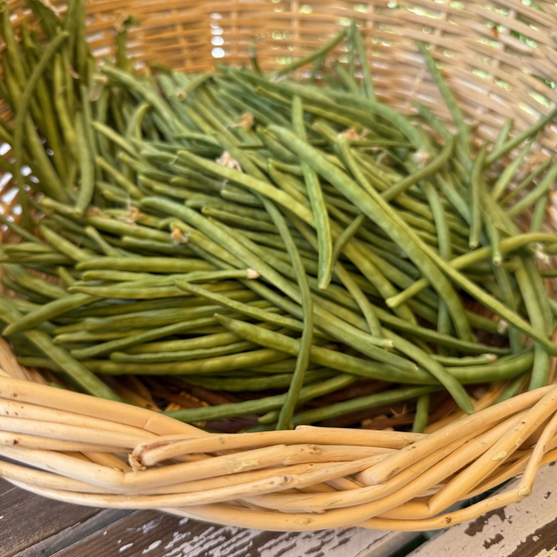 Börülce İpek Urla 500 g