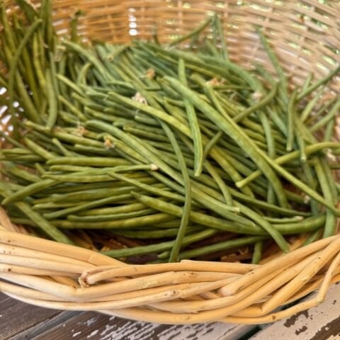 Börülce İpek Urla 500 g