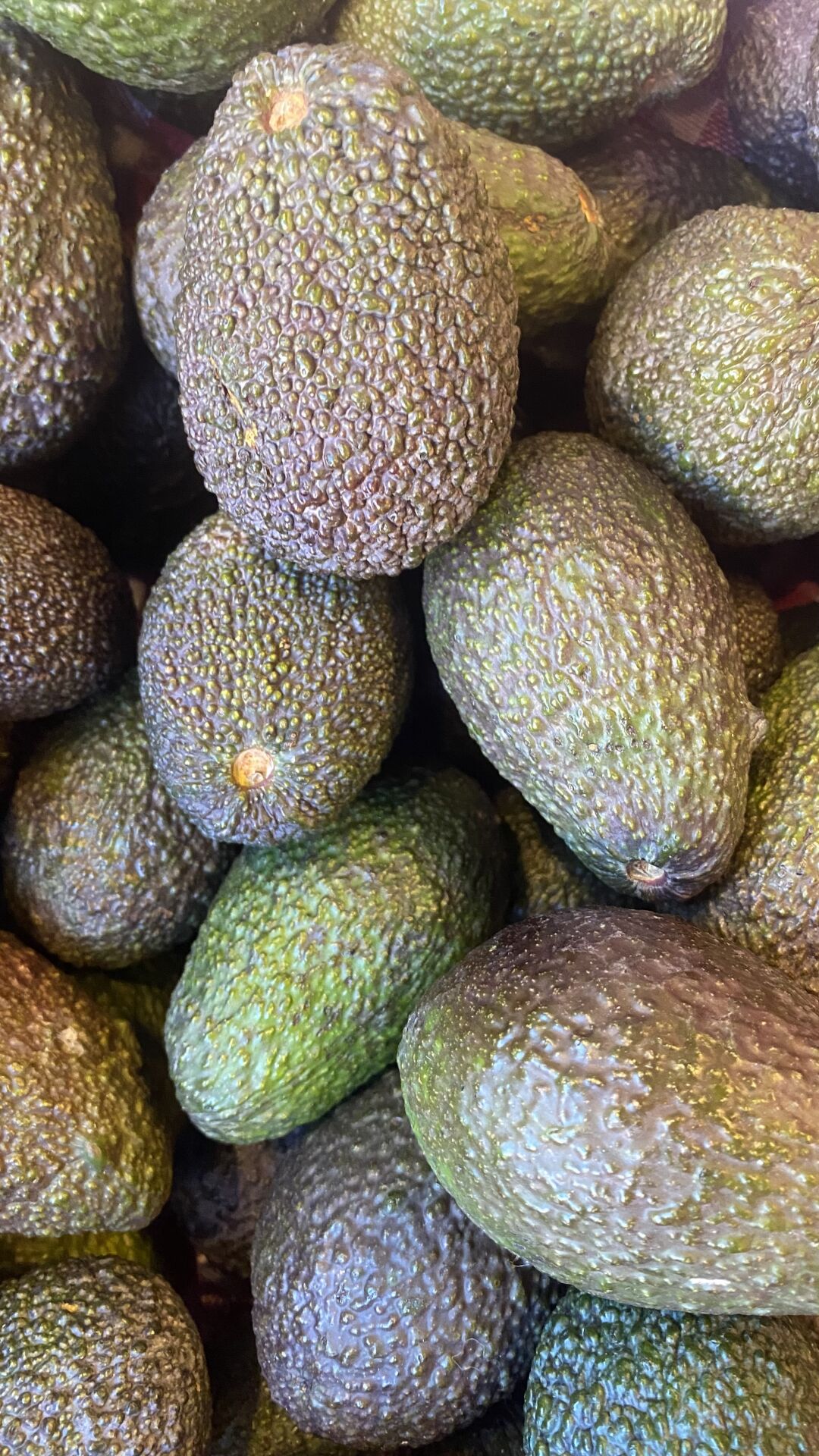 Avokado Hass  Yerli 500 g