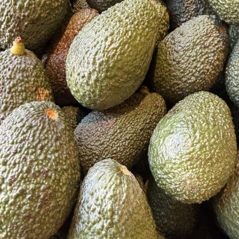 Avokado Hass  Yerli kg