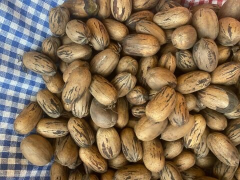 Pekan  Cevizi Yerli Kabuklu 500 g