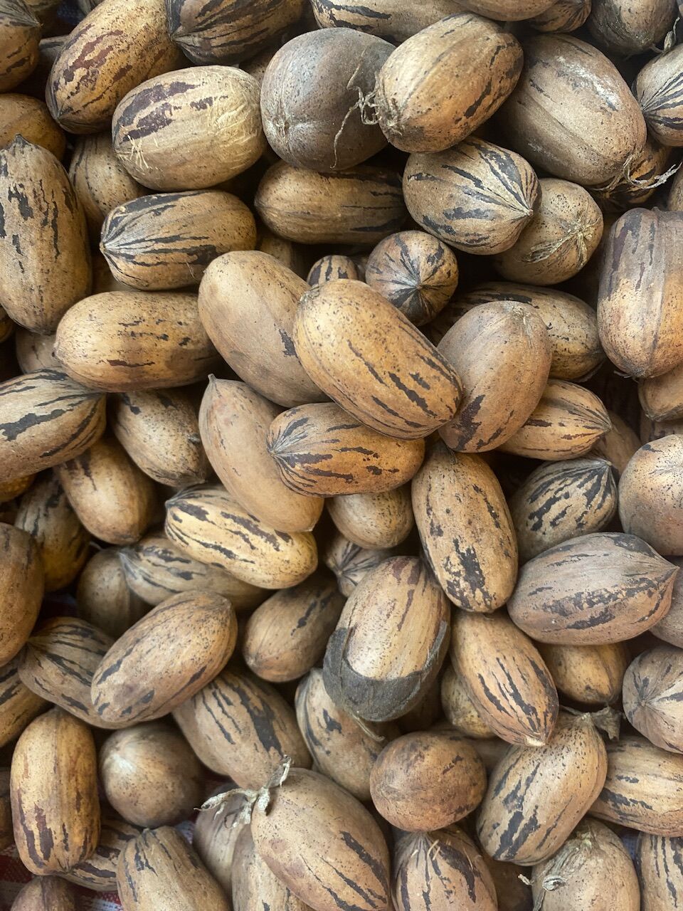 Pekan  Cevizi Yerli Kabuklu 500 g