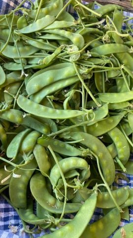 Sultani  Bezelye (Araka) 500 g